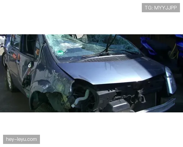 弃权规则：何时判定、赛果与裁判处理流程